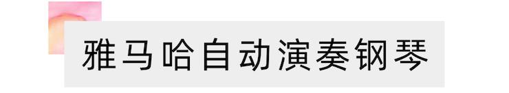 活动报道 | 远程艺术教育大师课活动—AG环亚集团艺术家赵宇大师课